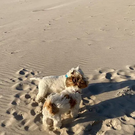 Lägenhet Niebieskie Z Klimatyzacja 100 M Do Plazy Rowy (Pomerania)