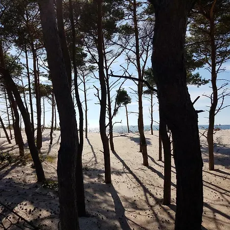 Niebieskie Z Klimatyzacja 100 M Do Plazy דירה