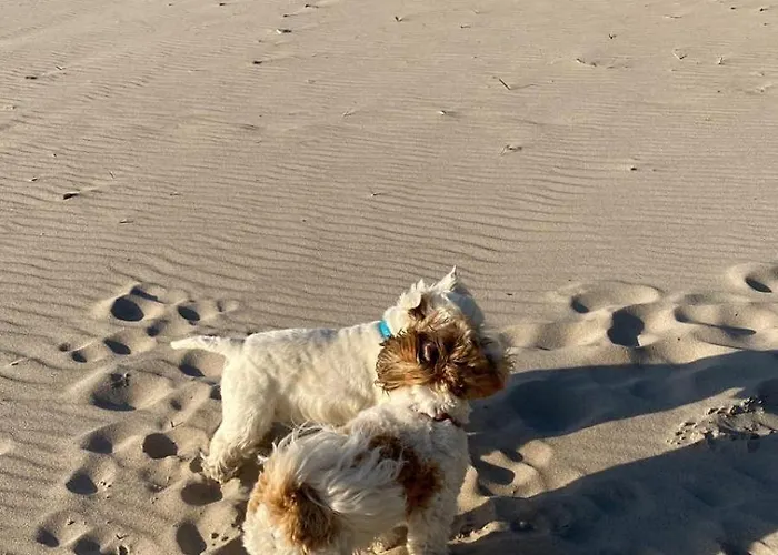 Apartament Niebieskie 13 Z Klimatyzacją 100 M Do Plaży Dawniej Blue Marine Rowy (Pomerania)