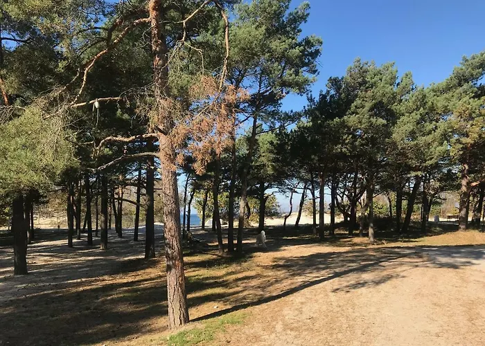 Apartamento Niebieskie Z Klimatyzacja 100 M Do Plazy
